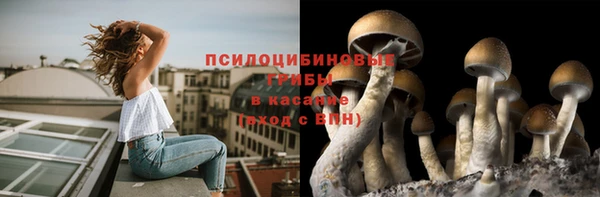 стафф Алзамай