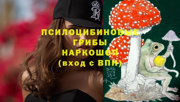 стафф Алзамай