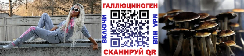 Галлюциногенные грибы Psilocybe  маркетплейс наркотические препараты  Нестеров 